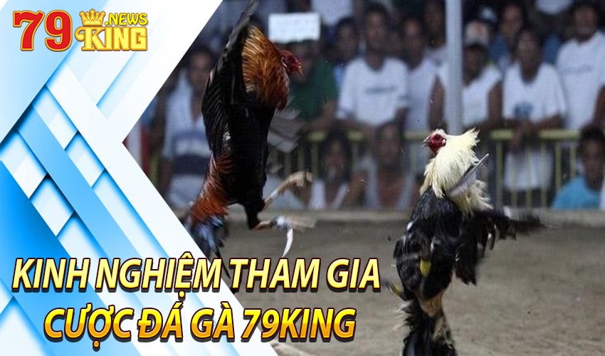 Kinh nghiệm tham gia cược đá gà 79king hiệu quả nhất