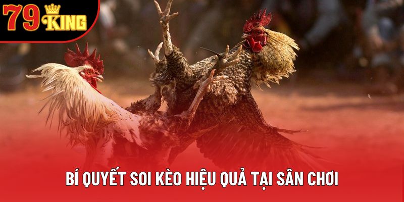 Bí quyết soi kèo hiệu quả tại sân chơi Bí quyết soi kèo hiệu quả tại sân chơi