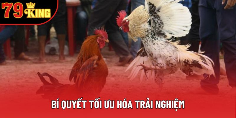 Bí quyết tối ưu hóa trải nghiệm Bí quyết tối ưu hóa trải nghiệm