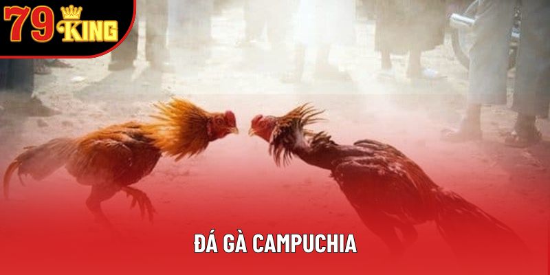Đá Gà Campuchia Online: Khám Phá Thế Giới Kịch Tính
