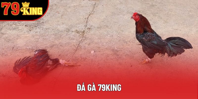 Đá Gà Online Rút Tiền: Cơ Hội Vàng Cho Kê Thủ Hiện Đại
