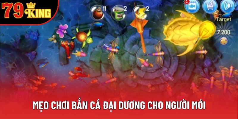 Mẹo bắn cá đại dương cho người mới Mẹo bắn cá đại dương cho người mới