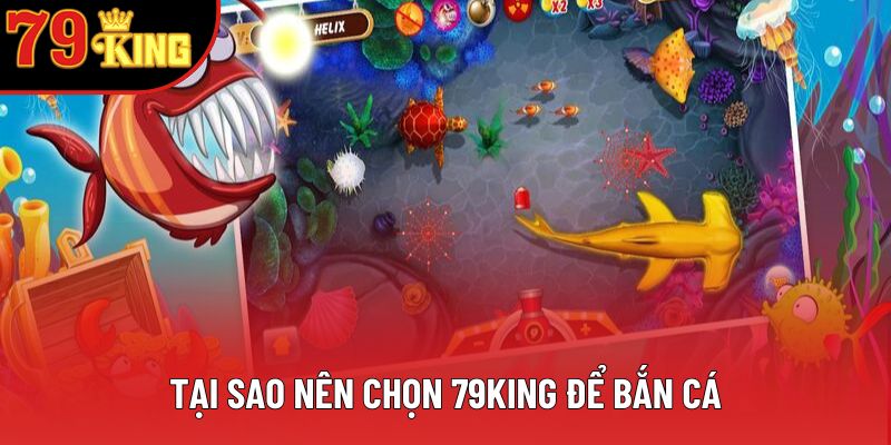 Tại sao nên chọn 79king để bắn cá? Tại sao nên chọn 79king để bắn cá?